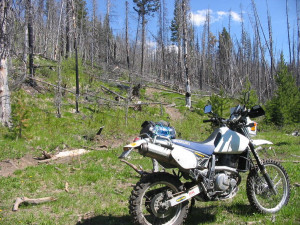 Did I mention how many MILES of bike trails?