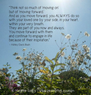 ... Cats, Loss Quotes Healingpetloss Com, Moving Forward, Life After Loss