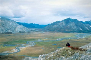 These are the cutting drilling arctic refuge quotes about Pictures