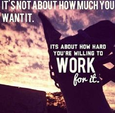 Livestock show quotes More