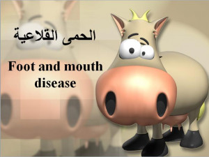 What is foot and mouth disease?