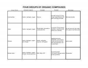 Concept Map Four Groups Of Organic Compounds Schools picture