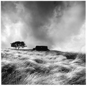 Fay Godwin (17 February 1931 – 27 May 2005) was a noted British ...