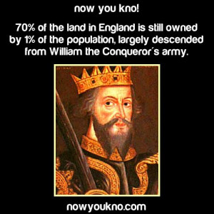 See more on our Pinterest or our website.