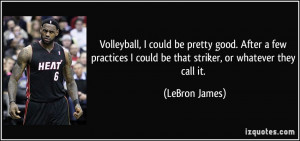 Volleyball, I could be pretty good. After a few practices I could be ...