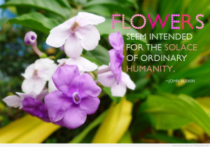 ... Seem Intended For The Solace Of Ordinary Humanity. - Flower Quote