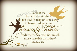 Birds Bible Verses And...