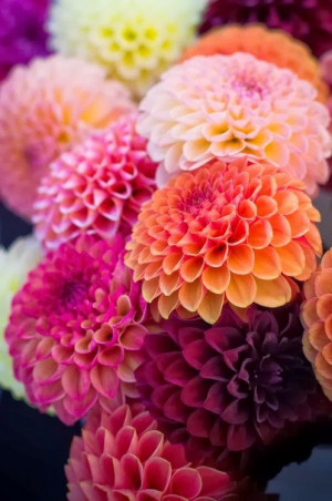 Found on beverleyshiller.tumblr.com