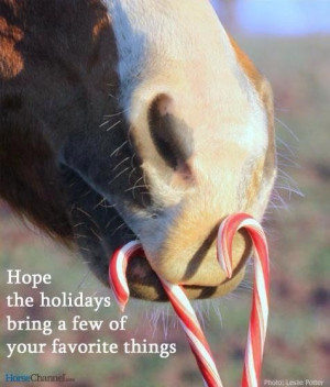 Hope the holidays bring a few of your favorite things! #horses ♥