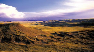 north american grasslands