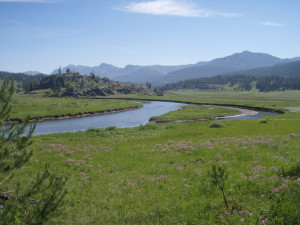 Slough Creek Backpacking Trip