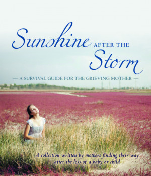 ... After the Storm: A Survival Guide for the Grieving Mother- A Review