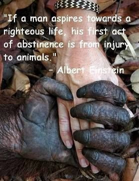 Found on fbcdn-sphotos-g-a.akamaihd.net