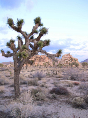 Clint Eastwood Quotes Outlaw Josey Wales