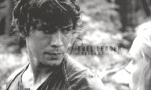 Rebel Leader and Brave Princess