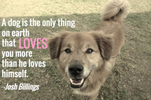 not the only one who loves their dog – here are 25 famous dog quotes ...