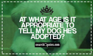 Appropriate Funny Quotes And Sayings At what age is it appropriate