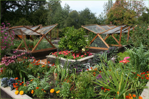vegetable garden ideas - our vegetable garden project vegetable garden ...
