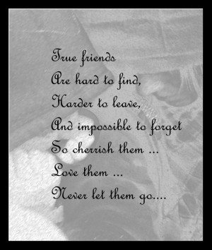 True Friends Are Hard To Find Harder To Leave And Impossible To Forget ...