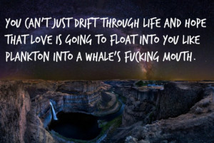 Louis CK quotes make for oddly satisfying motivational posters drift ...