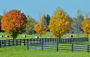 Friday, June 8, 2012