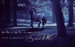 Horse & Quote wallpaper