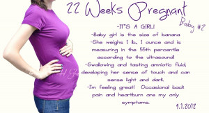 22 weeks pregnant this week! I know I've had a lot of pregnancy ...