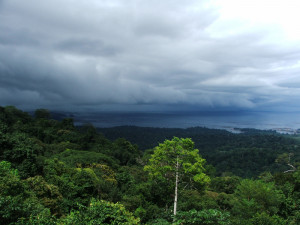 Central Bank Of The Lake Ozarks