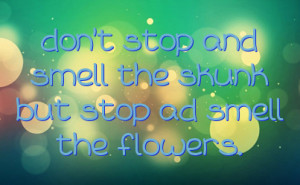 don't stop and smell the skunk but stop ad smell the flowers.