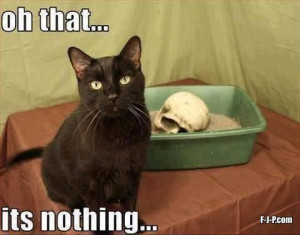 Funny Cat Skull Litter Tray Meme Joke Picture Image - Oh that... it's ...