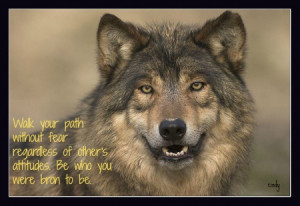 Wolf Wisdom - friendship, white, wisdom beautiful, grey wolf, wild ...