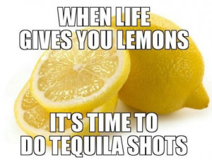 MEMES 2014 When Life Gives You Lemons