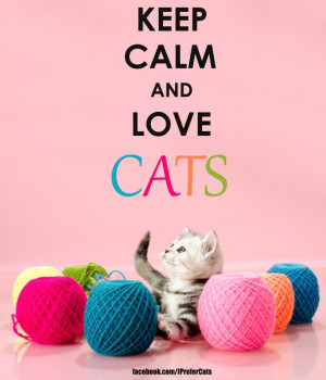 by!Keep Calm And Love Cat, Calm Catゞ, Adorable Cat, Cute Cat Quotes ...