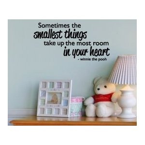 Winnie the Pooh Vinyl Wall Art Sticker Decal Quote Inspirational