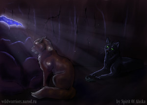 Fallen-Leaves-and-Hollyleaf-fallen-leaves-and-hollyleaf-34470731-700 ...