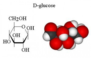 Simple Carbohydrate Molecule