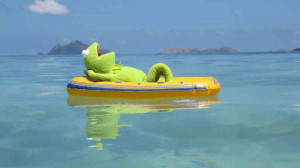 Kermit the Frog's Kickass Vacation in 15 Epic Photos