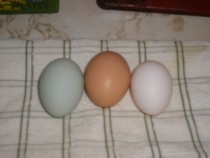 view original image )