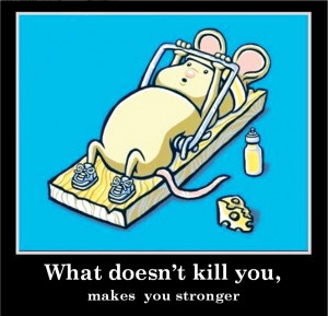 What Doesn’t Kill You, Makes You Stronger