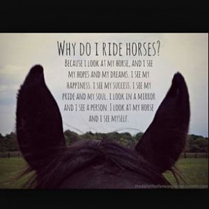 Equestrian. #horses #quote #love #life #riding #passion #sport ...
