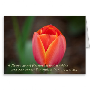 Romantic Orange Tulip Springtime Bloom Love Quote Greeting Card