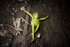 kermit-the-frog-is-dead.jpg