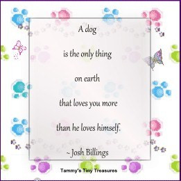 Favorite Dog Quotes. I am so excited to add this fun section to my ...