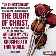 Favorite Preacher quotes