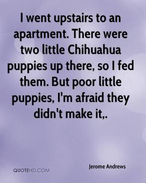 Jerome Andrews - I went upstairs to an apartment. There were two ...