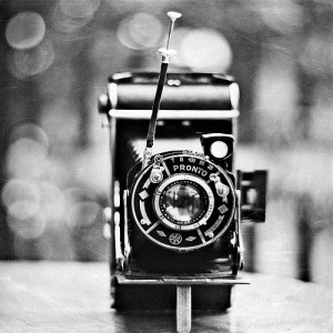 ... camera ~ Edward Steichen(Photography and quote by Julia Davila