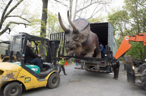 Dinosaur Safari Opens The Bronx Zoo Sat May Memorial Day