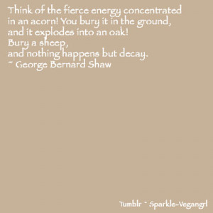 Vegetarianism Quotes George Bernard Shaw