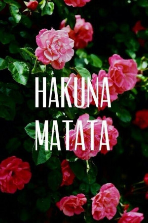 summer-paradise-stavrixx