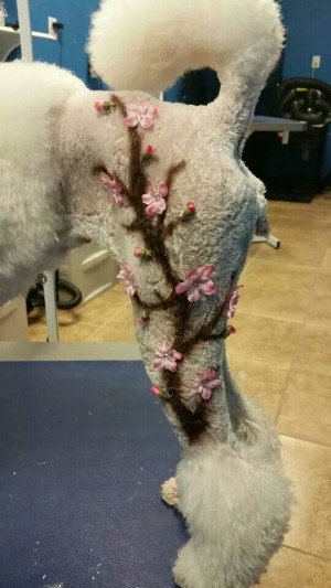 Via The Groomers Profit Generating Kit